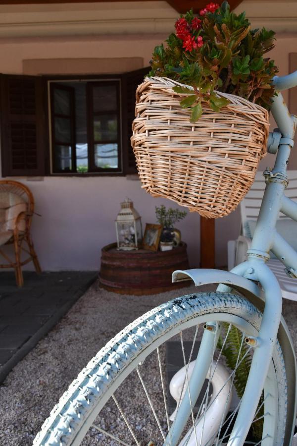 Sendy Holiday Home Ražanac Exteriér fotografie